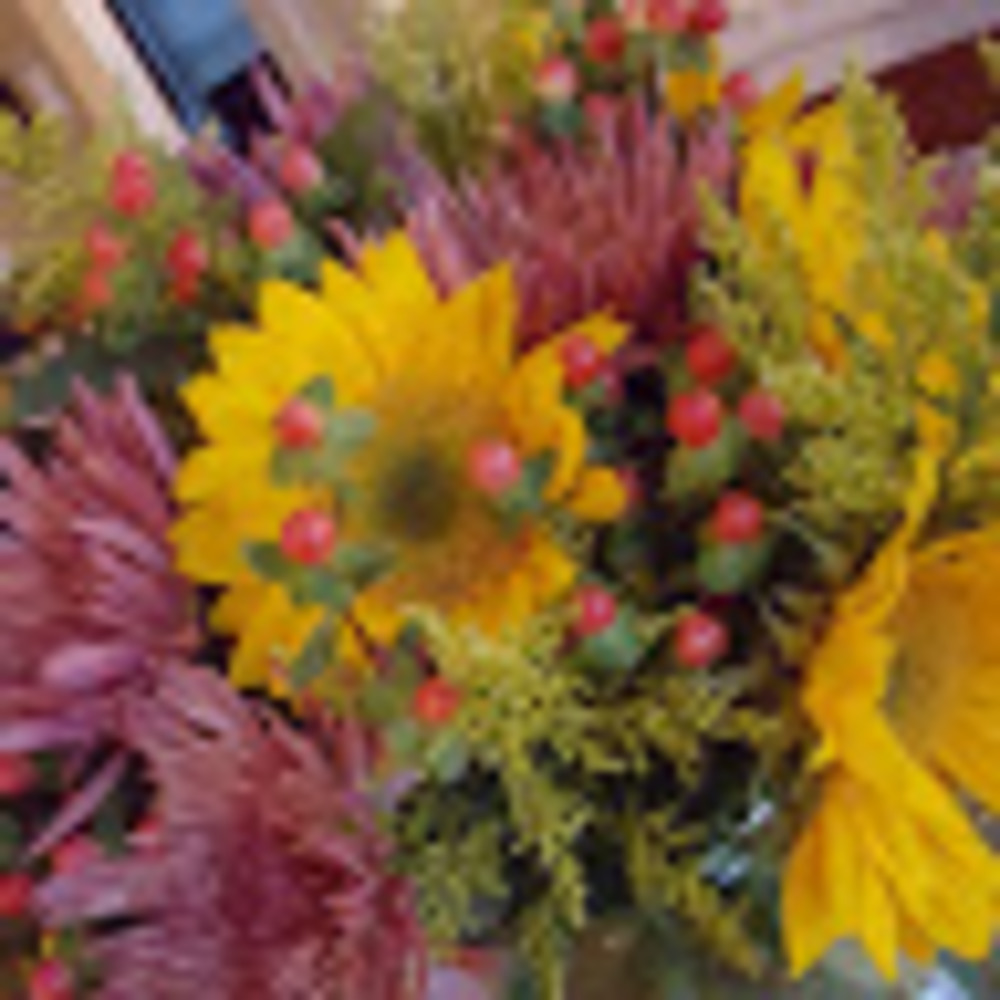 Meet your Posher, Dawn